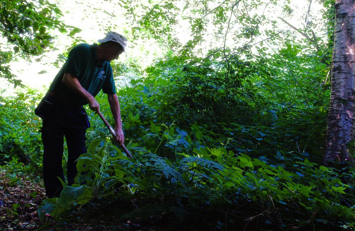 Friends of Park Wood Work Day